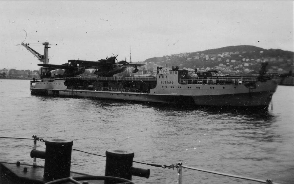 Bussard