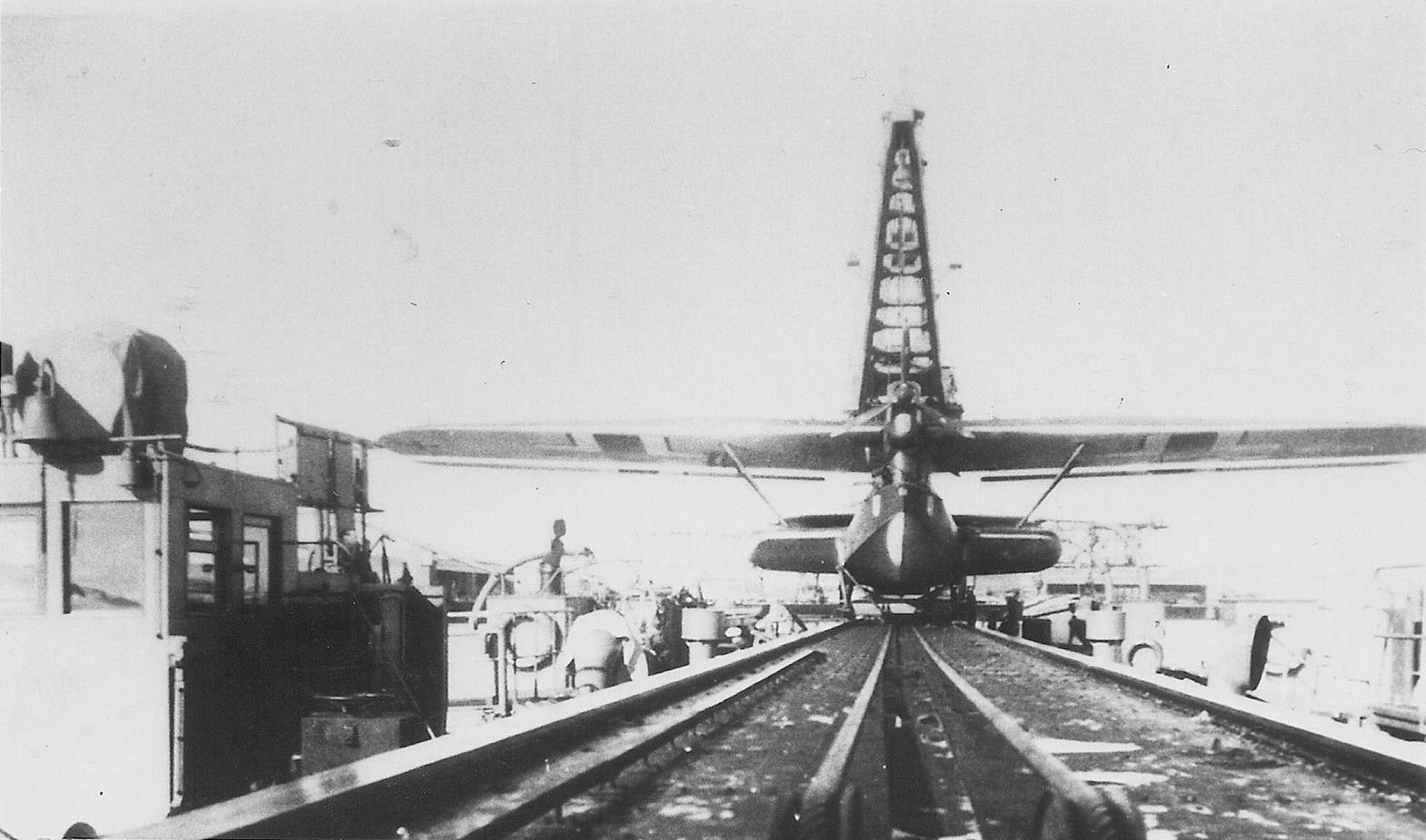 Sperber
