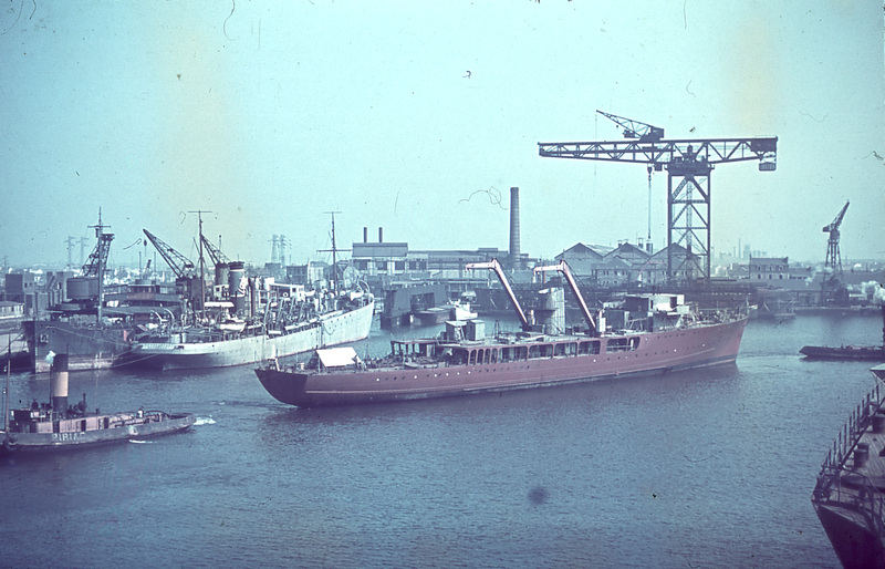 SG-3