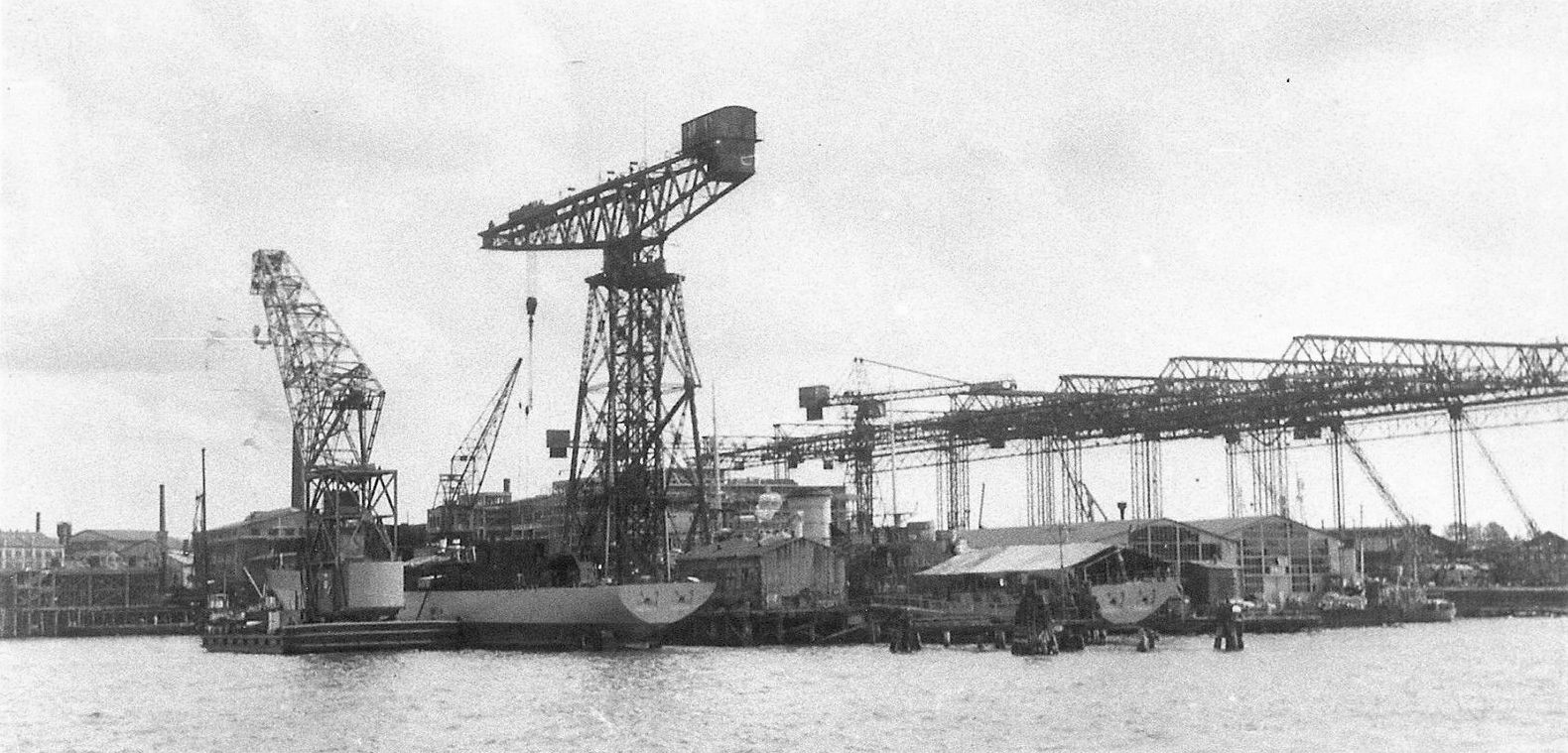 SG-3