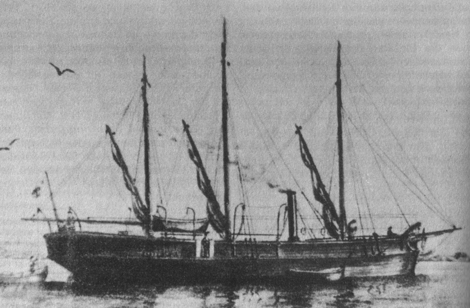Fuchs