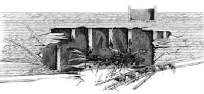 Barbarossa