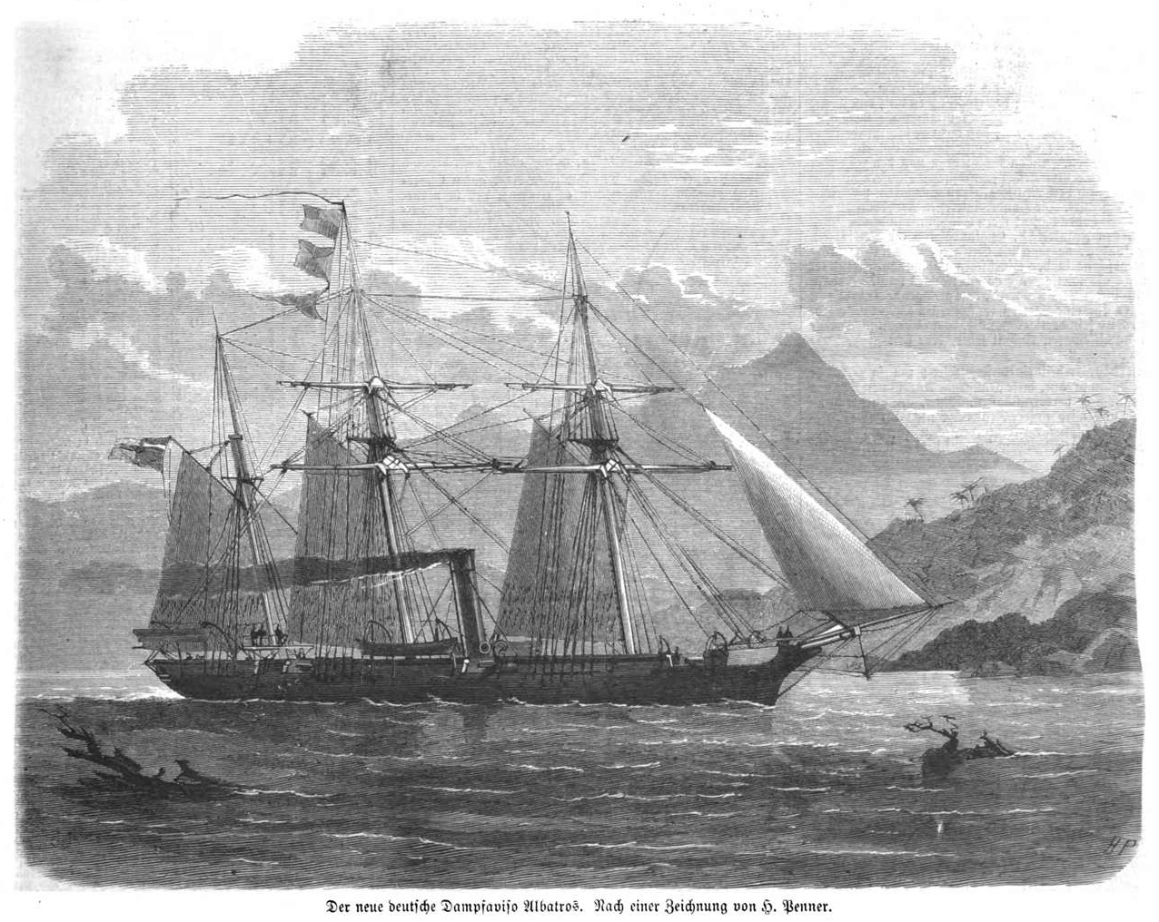 Albatros