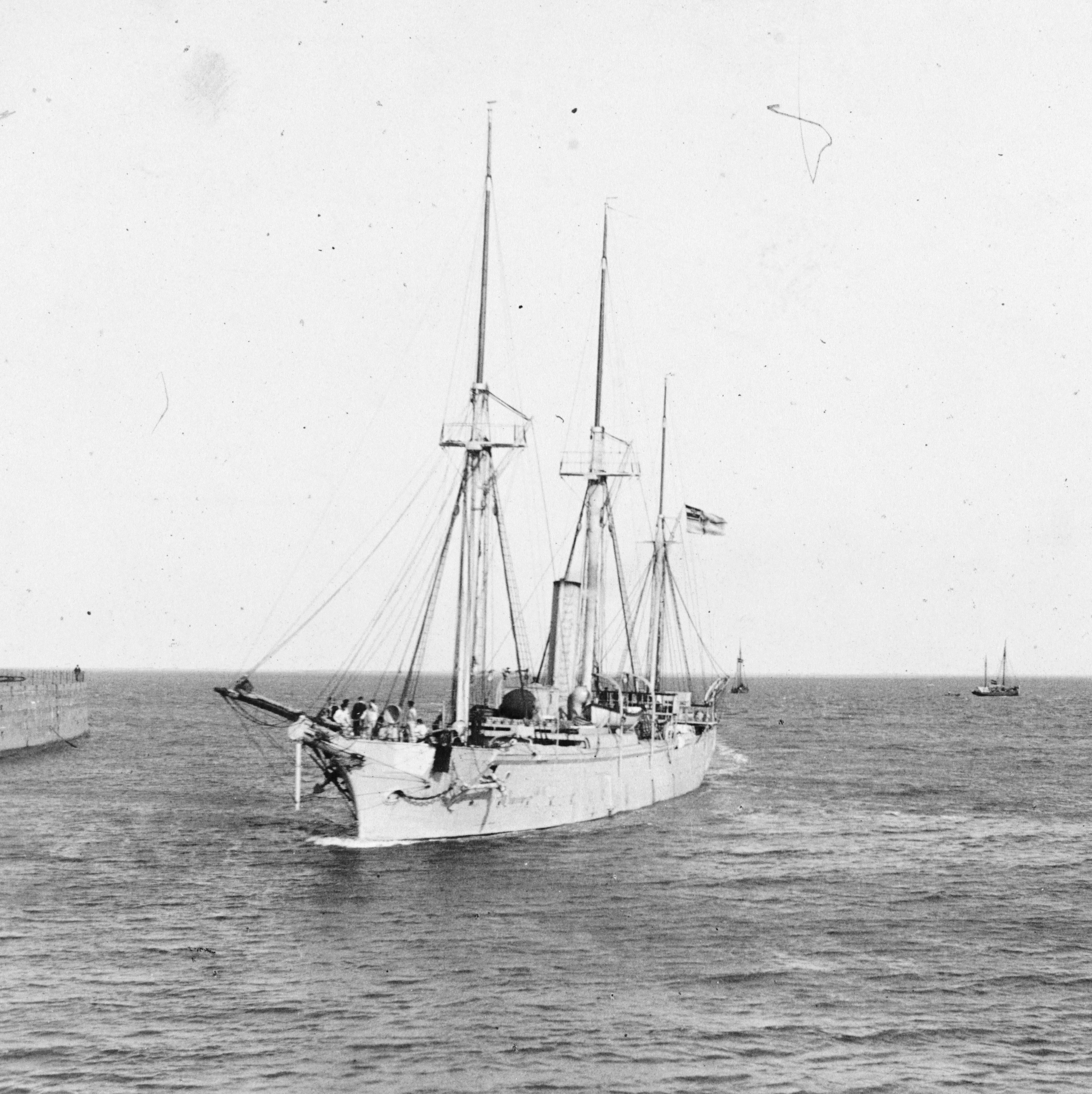 Albatros