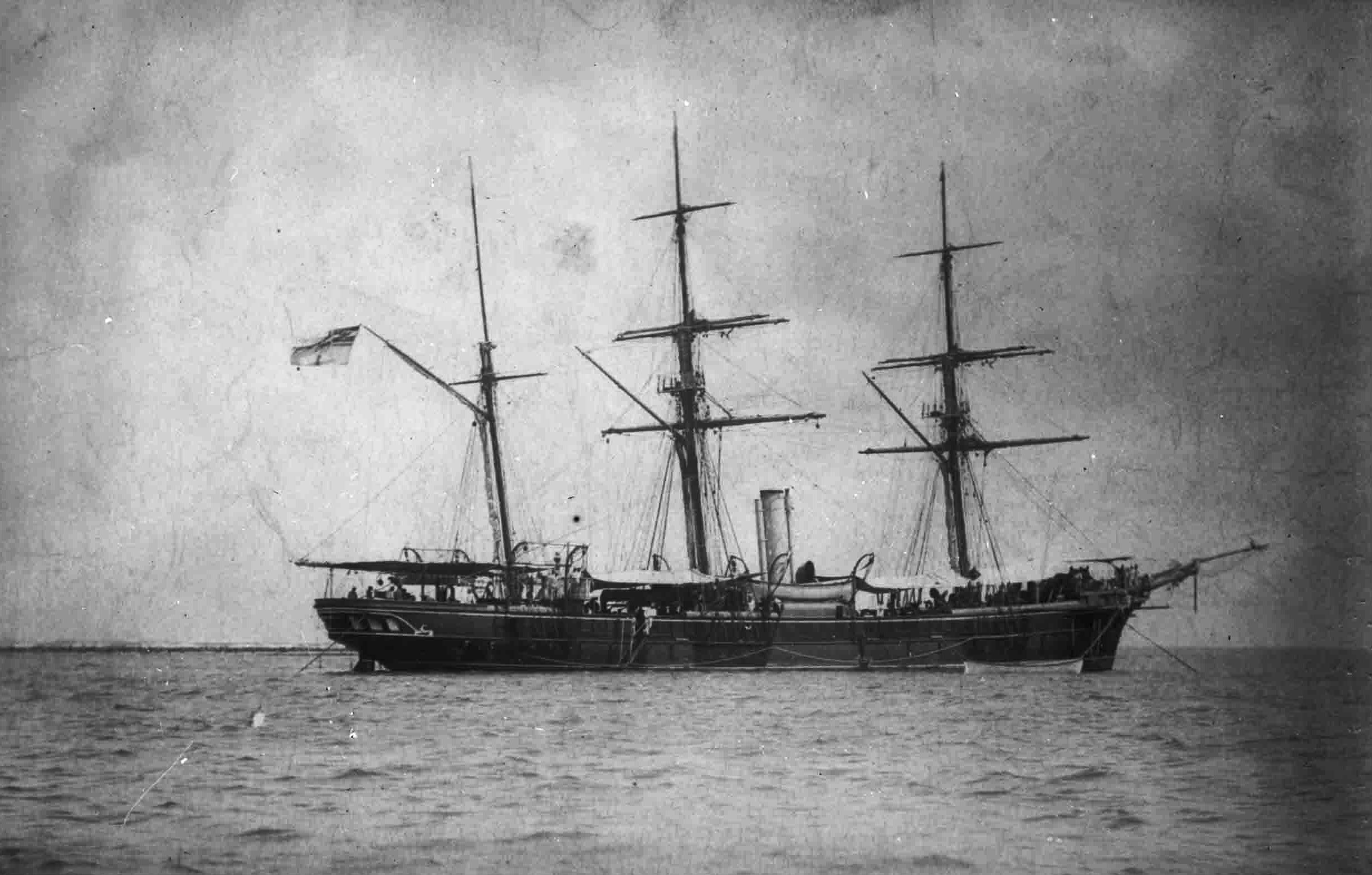 Adler