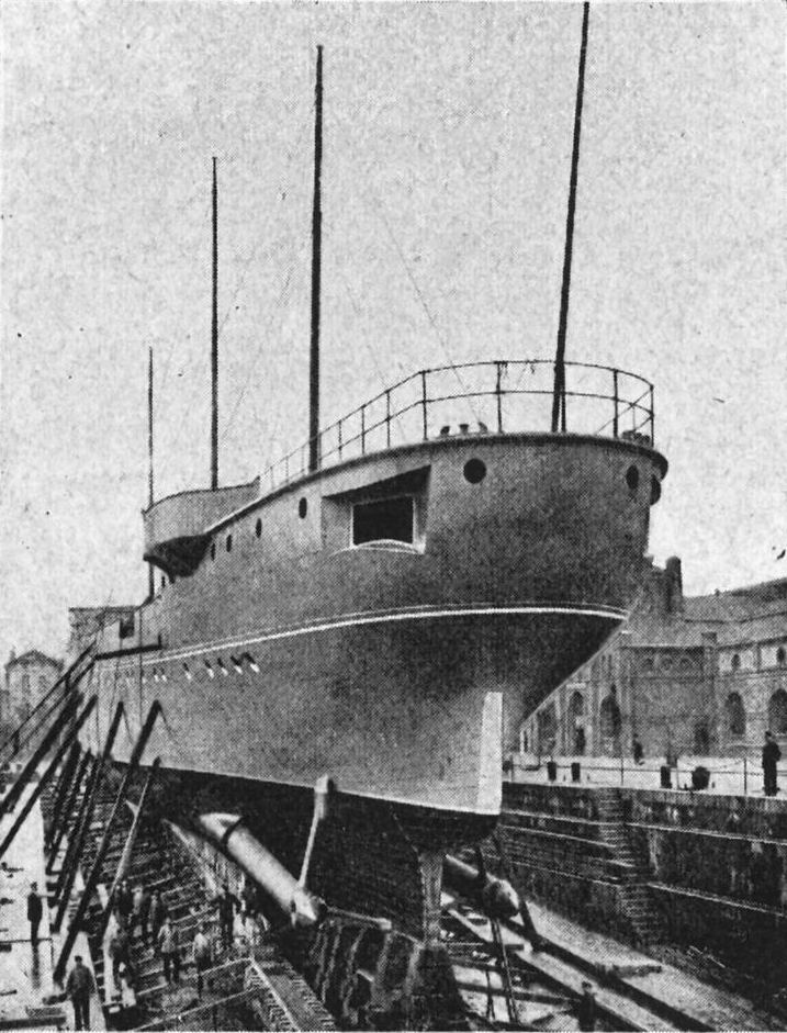 Geier