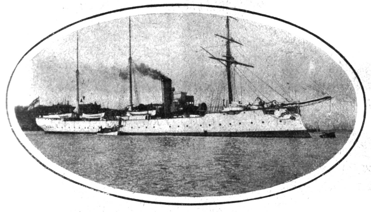Geier