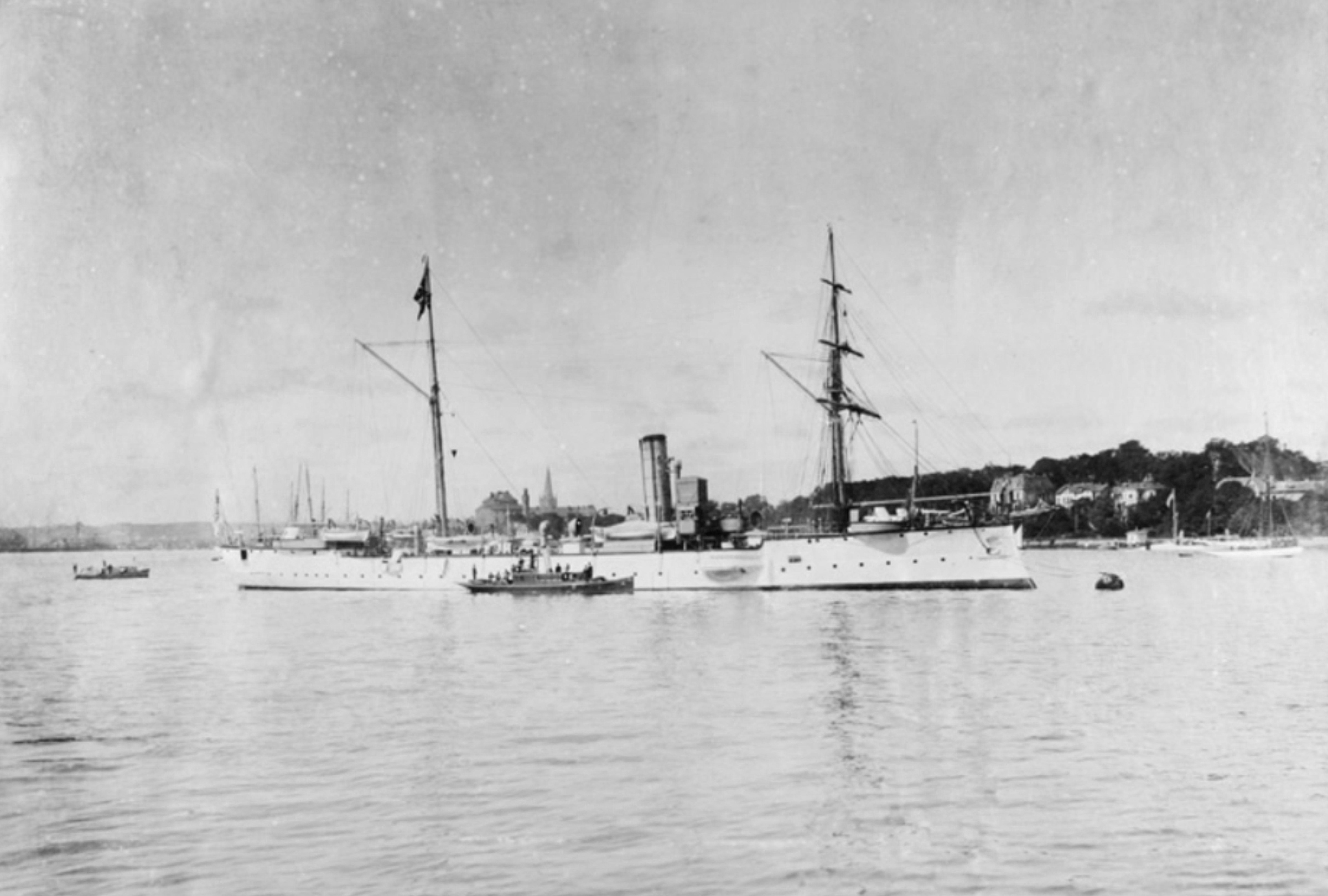 Bussard