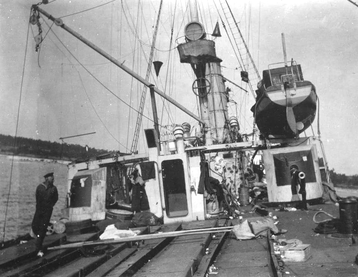 Albatross