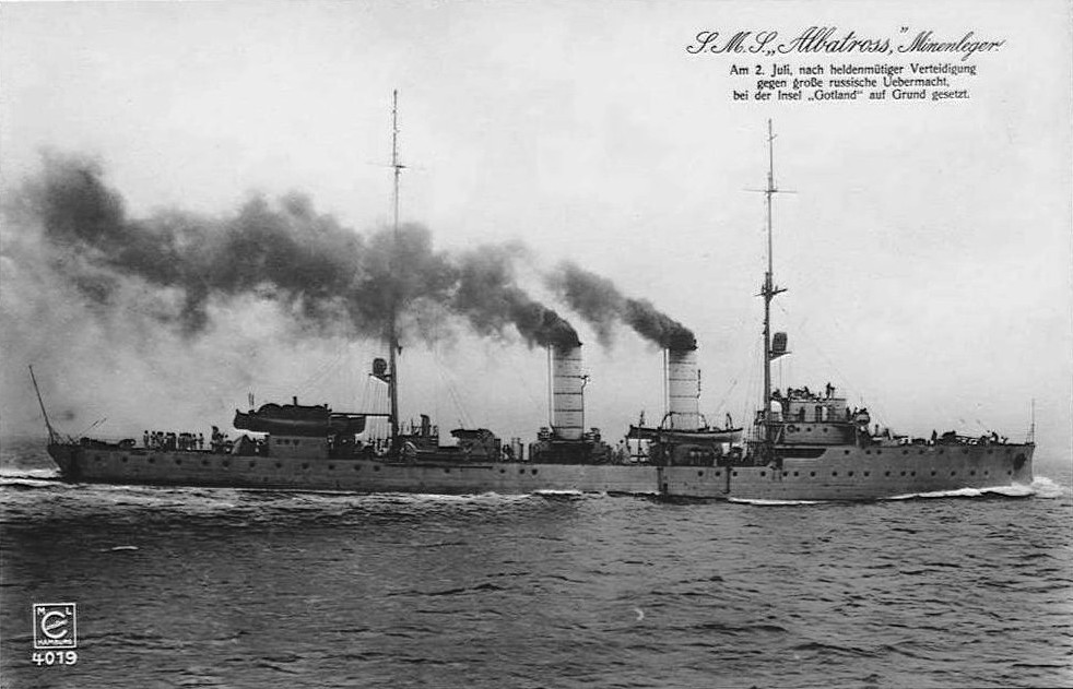 Albatross