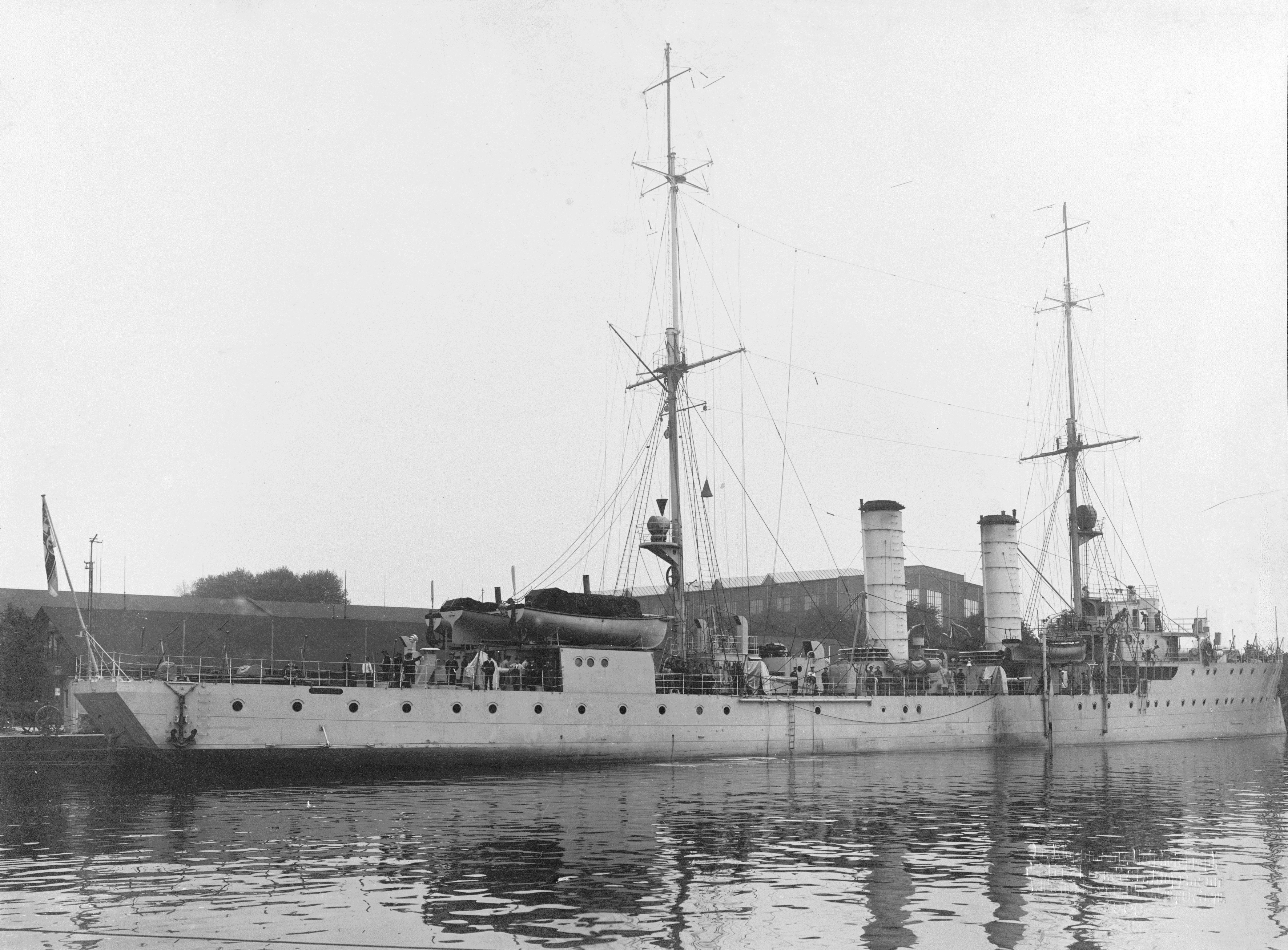 Albatross