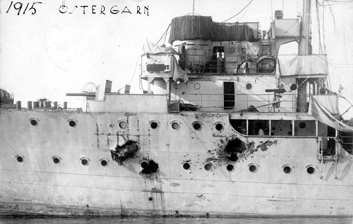 Albatross
