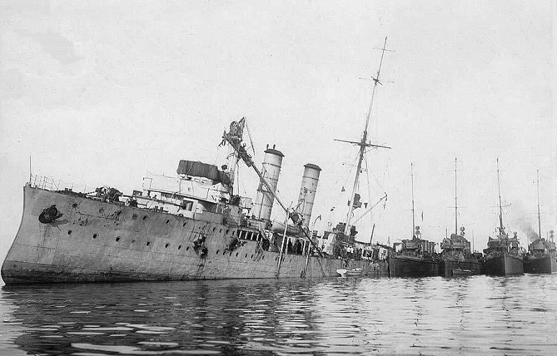 Albatross