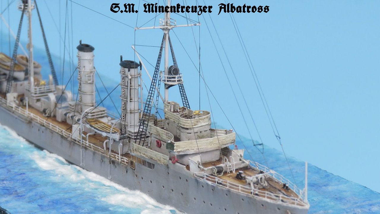 Albatross