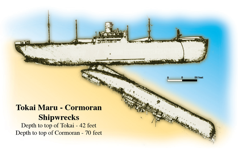 Cormoran