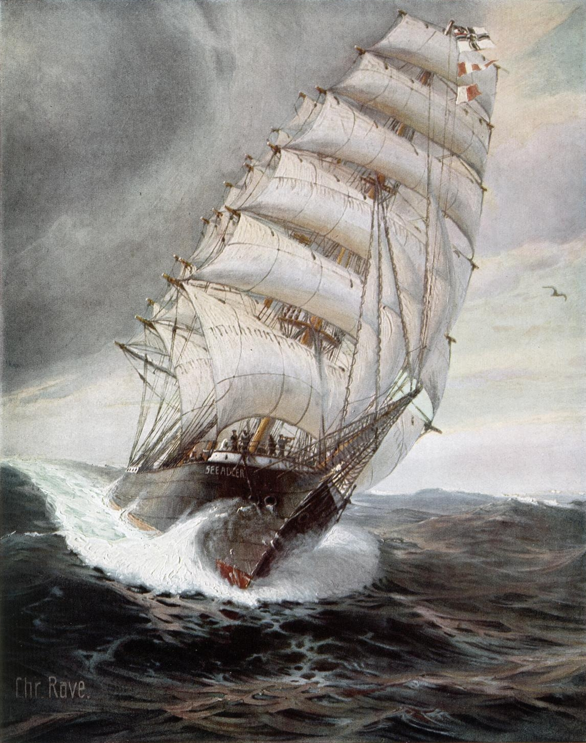 Seeadler