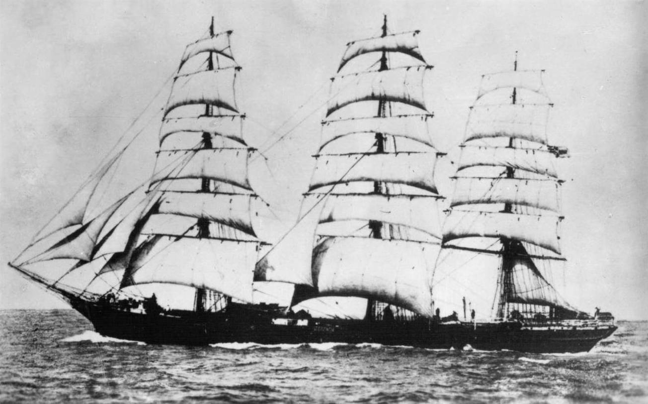 Seeadler