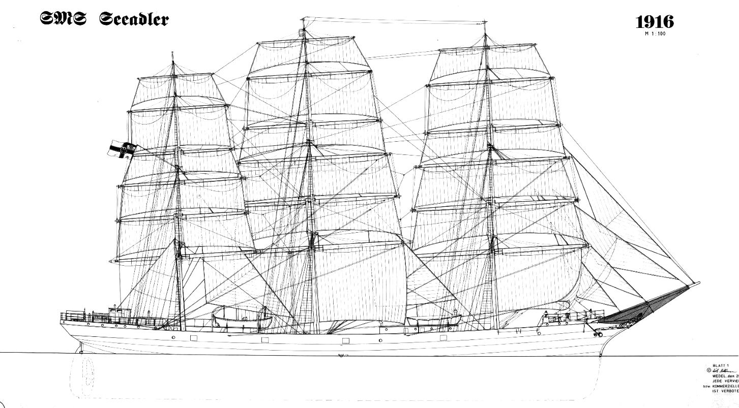 Seeadler