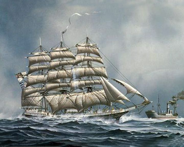 Seeadler