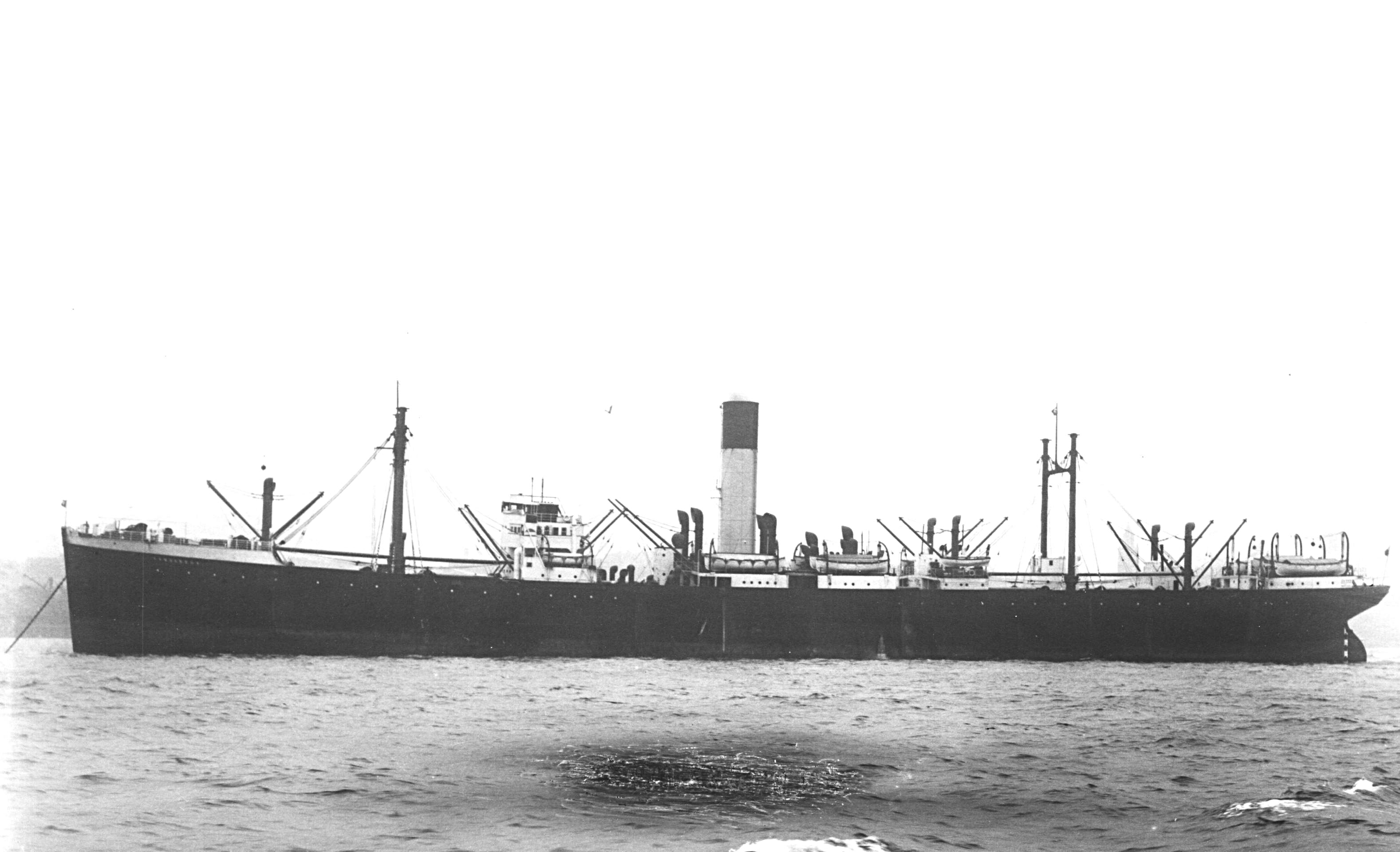 Tyndareus
