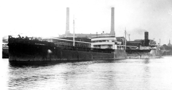 Madrono