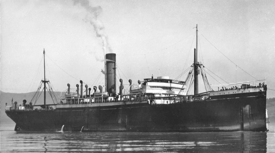 Maimoa