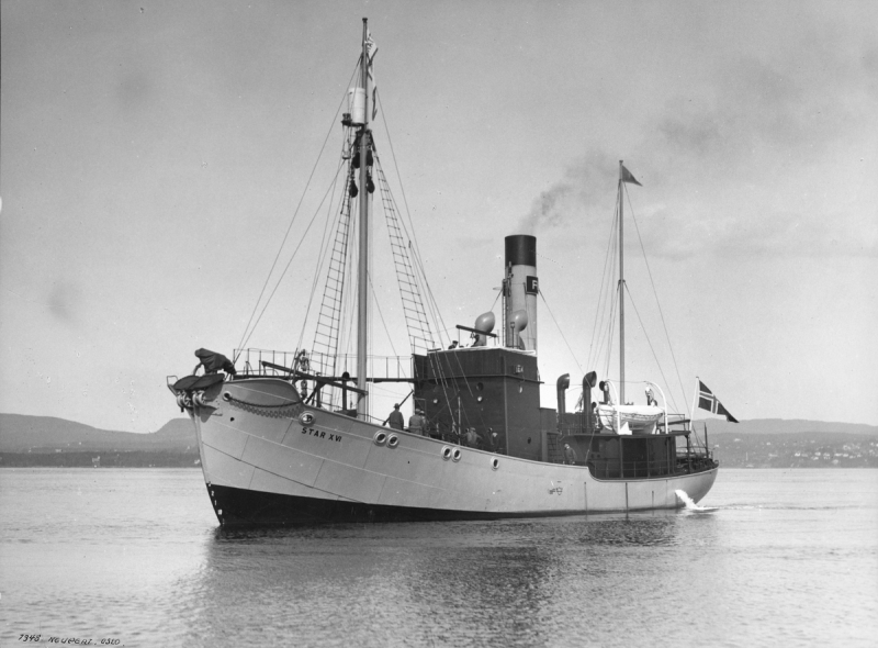 Star XVI
