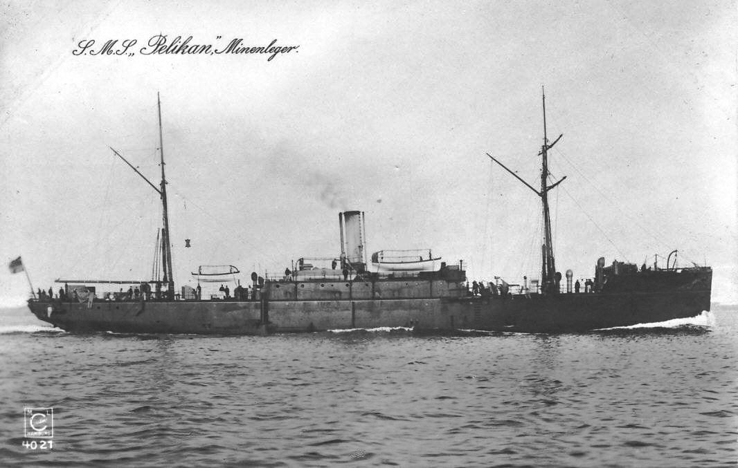 Pelikan