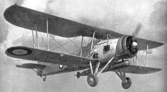 Swordfish