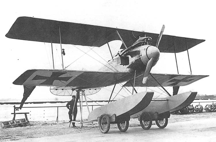 Albatros W4