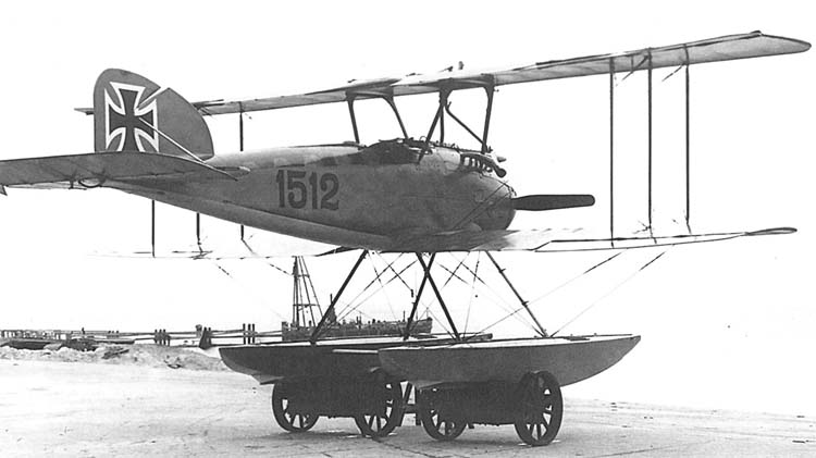 Albatros W4