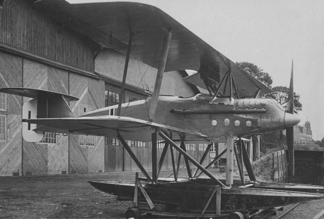 Albatros W8