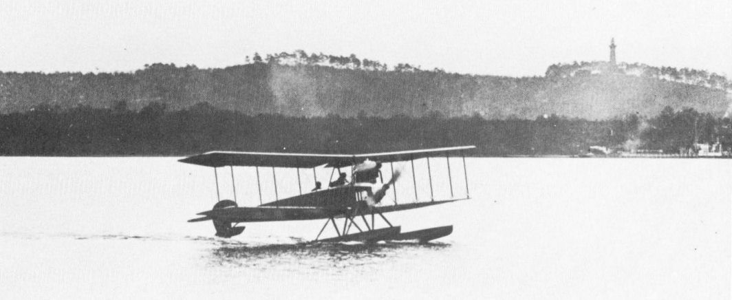Albatros WDD