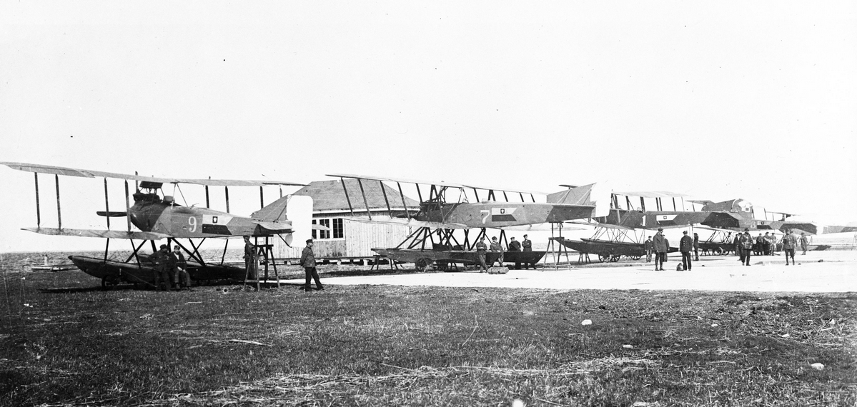 FF-33l