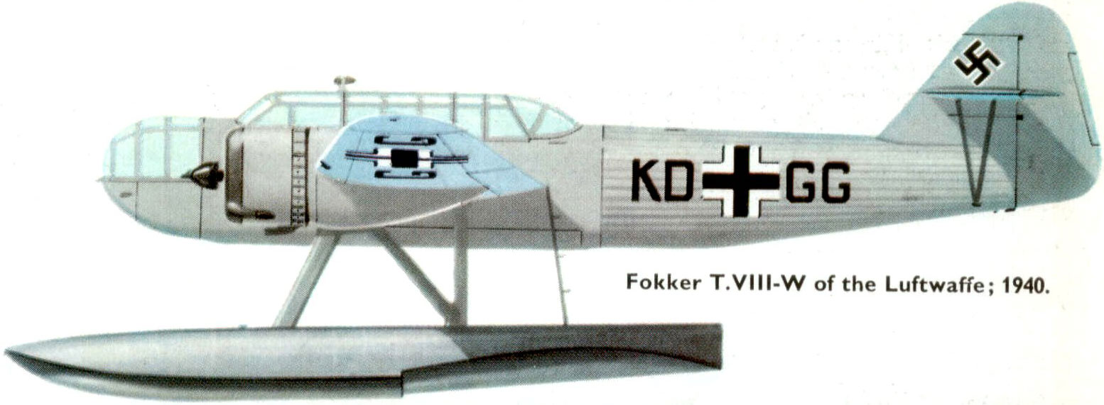 Fokker T VIII