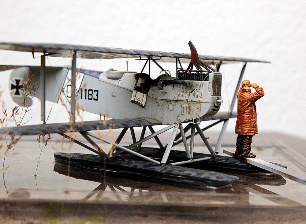 Hansa-Brandenburg W12