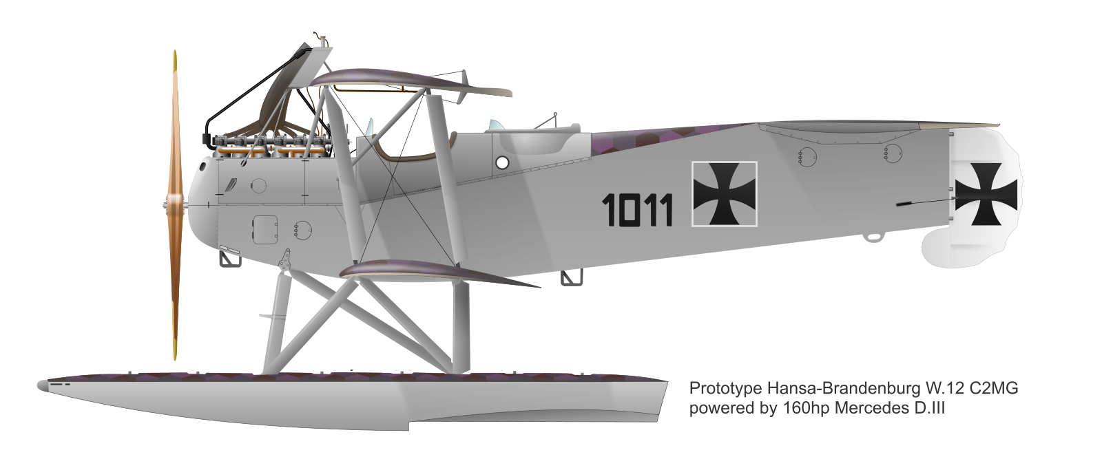 Hansa-Brandenburg W12