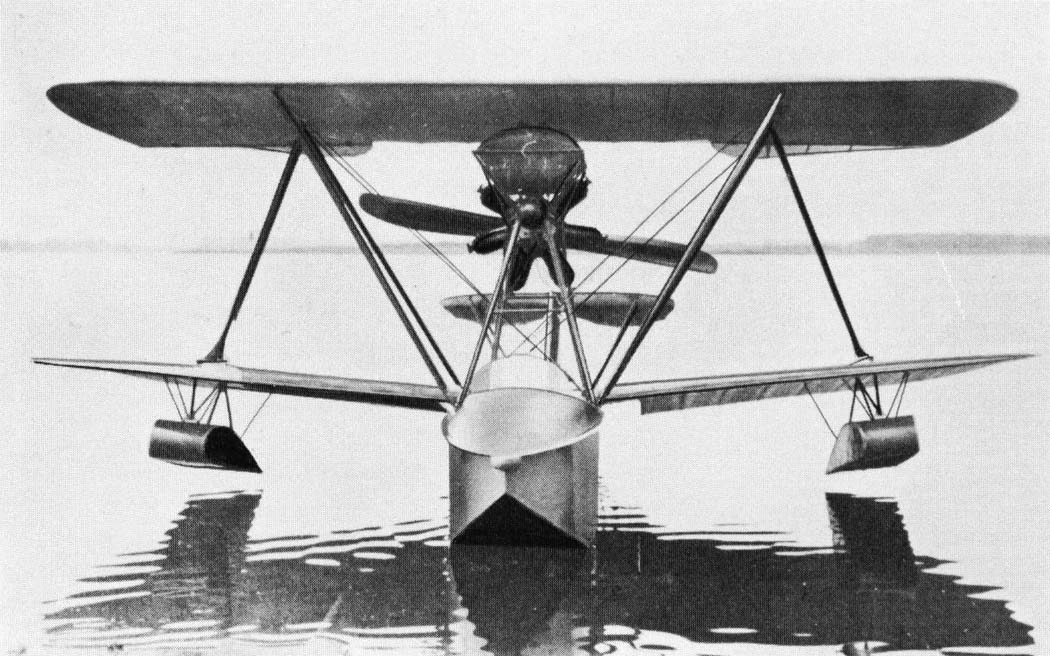 Hansa-Brandenburg W-20