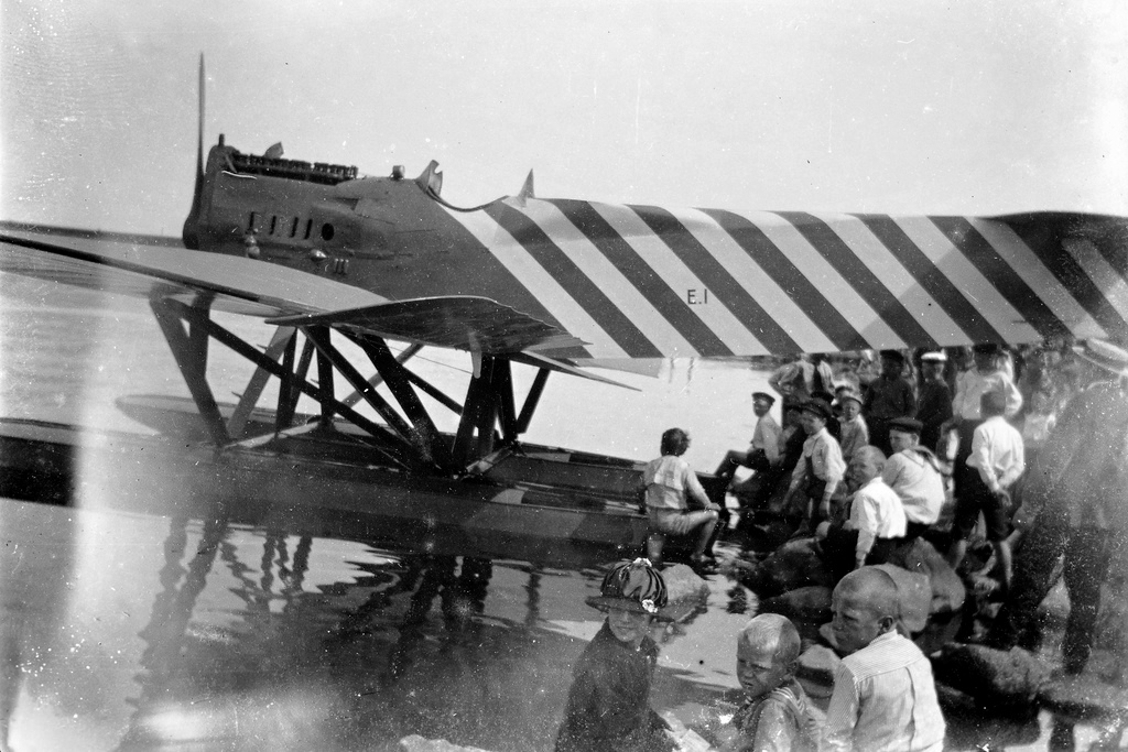 Hansa-Brandenburg W29