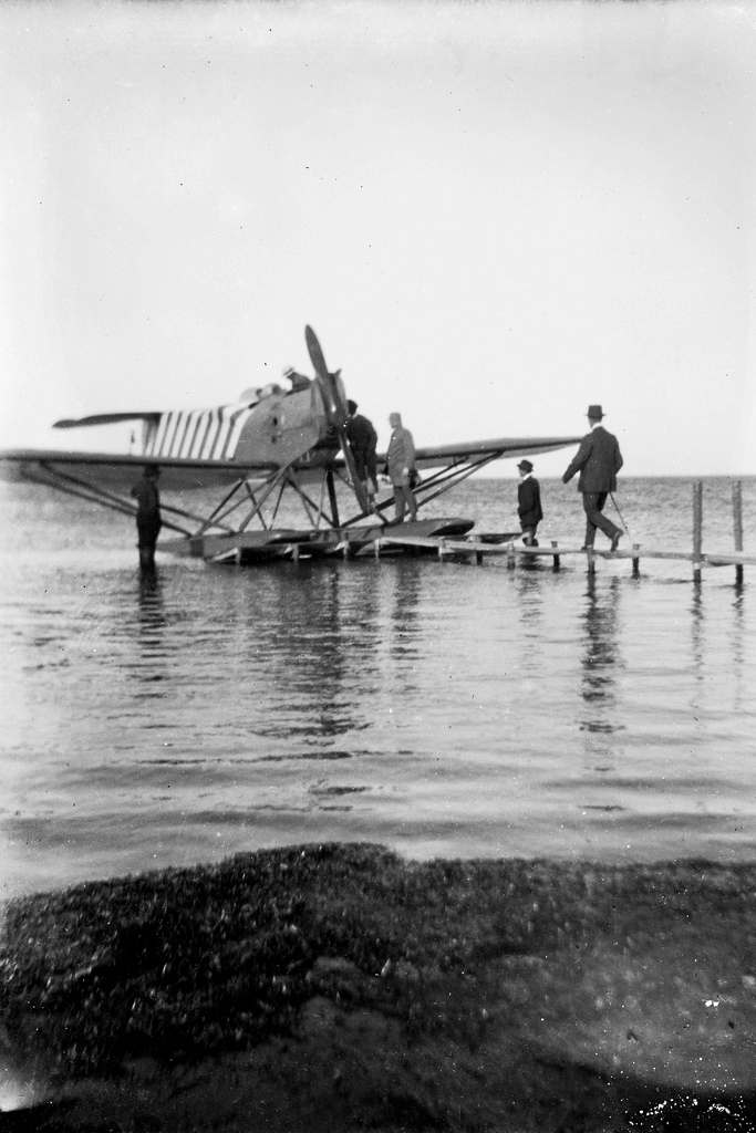 Hansa-Brandenburg W29