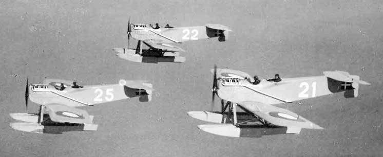Hansa-Brandenburg W29