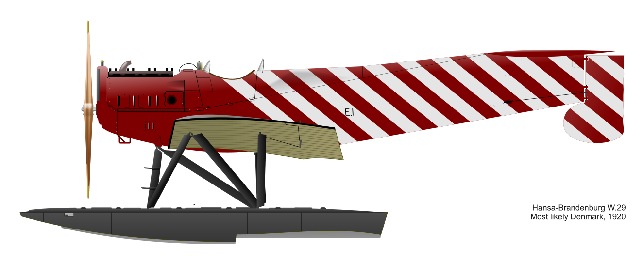 Hansa-Brandenburg W29