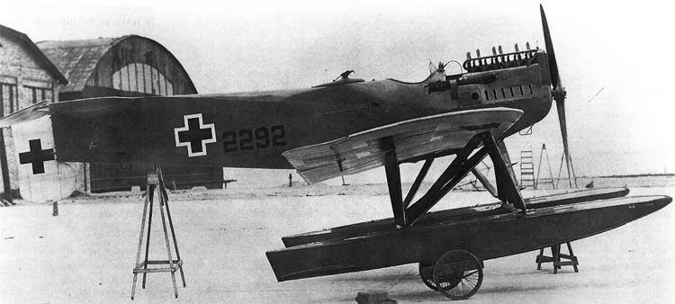 Hansa-Brandenburg W29