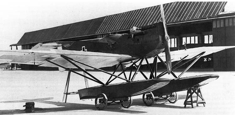 Hansa-Brandenburg W29