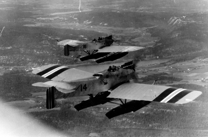 Hansa-Brandenburg W33