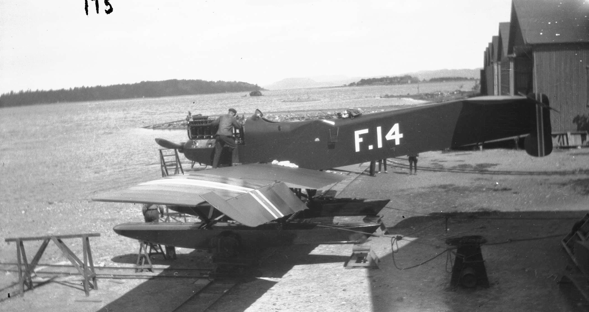 Hansa-Brandenburg W33