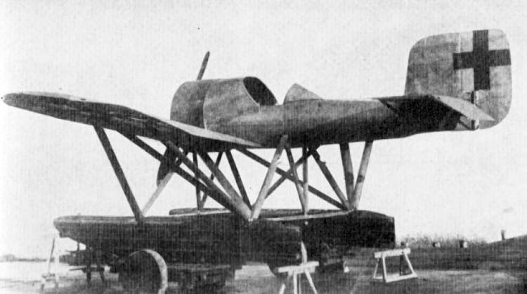 LFG V-19