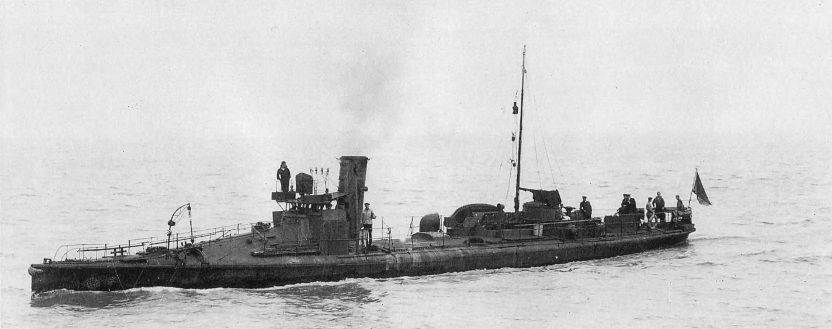 T-29