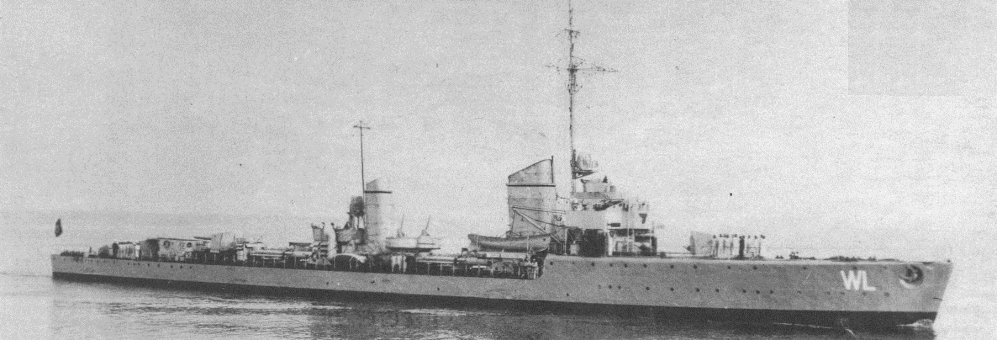 Wolf