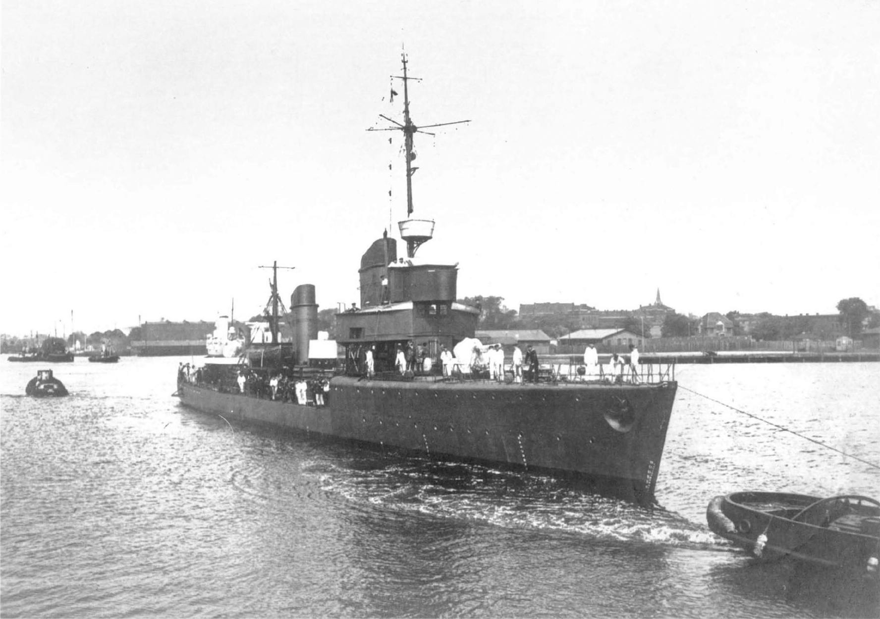 Albatross